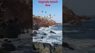 Bogmalo beach Goa #goa #shortsfeed #shortvideo #beaches #beautiful #goabeach