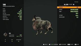 TAHR GREAT ONE MY FIRST NO MODS NO AMMO THE HUNTER CALL OF THE WILD