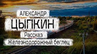 Александр Цыпкин рассказ "Железнодорожный беглец" Читает Андрей Лукашенко