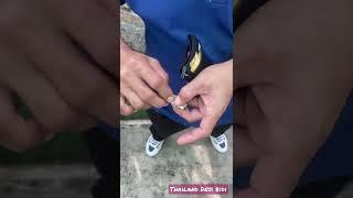 Thailand Rolling Tobacco in Leaf |World Hardest Cigarette | Better than Malboro and Weed #shorts