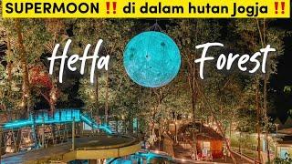 HEHA FOREST KALIURANG FOTO DENGAN BULAN DI TENGAH HUTAN | Review Wisata Terbaru Jogja 2023