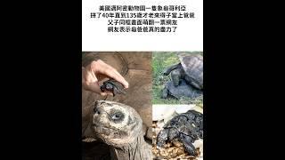 135歲象龜老來得子