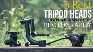 3 Best TRIPOD HEADS for Nature & Wildlife PHOTOGRAPHY | 3 Parimat STATIIVIPEAD loodusfotograafiaks