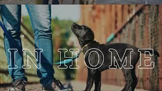 Suburban K9 Phoenix: Expert Dog Training