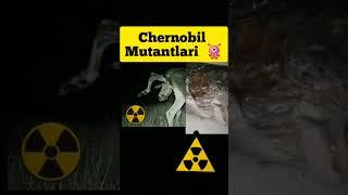 Chernobildagi Mutantlar #ujas #short