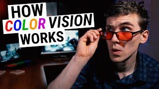 How COLOR VISION Works (Types of Color Blindness, Genetics & Disease)