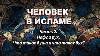 Нафс и рух. Что такое душа и что такое дух? (2-я часть цикла "Человек в Исламе" Амина Рамина)