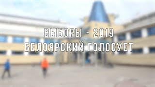 Выборы 2019