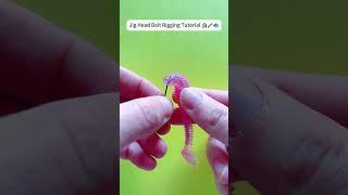 Perfect Jig Head Rig Tutorial | Soft Bait + Hook Placement Tips  #reeffun #fishing #diy #fishhook