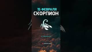 Гороскоп на 15 февраля / СКОРПИОН #reels