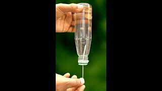 Amazing Science Experiment | Adhesion Property Of Water Experiment / #shorts
