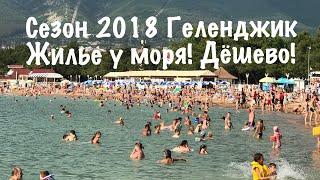 Геленджик жилье недорого Колхозная 11 сезон 2018