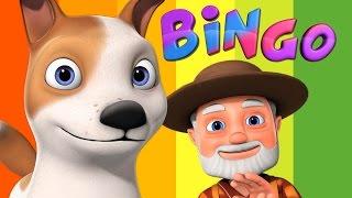 Bingo Dog Song | Videogyan 3D Rhymes | Bingo Rhymes For Children