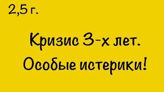 У ребёнка кризис 3-х лет и особые истерики