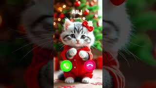 Aili cat calling#cat #catlover #cats #aiart #funny #animals #youtubeshorts #viralshort #trending