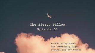 Sleepy Pillow Episode 01 - Stories to Relax and Sleep