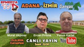 24.11.2024 Pazar İzmir Adana Altılı Ganyan At Yarışı Tahminleri