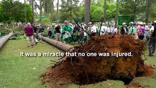 3 Trees Fall at Masters Golf Tournament