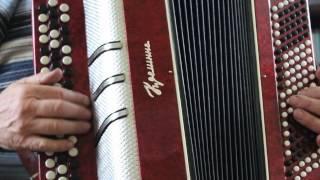 Баян Креминне,button accordion,knopfakkordeon,fisarmonica