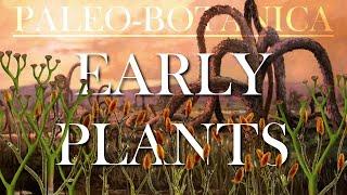 The Evolution of early Plants