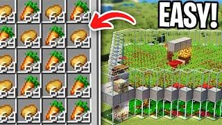 Minecraft 1.21 Crop Farm Tutorial