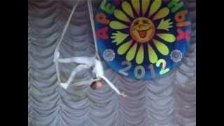 Arial loops. Circus Carusel