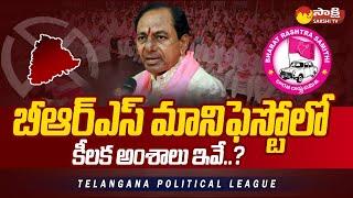 Special Story on BRS Manifesto | Telangana Elections 2023 | CM KCR |@SakshiTV