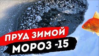 ПРУД ЗИМОЙ В МОРОЗ -15 / АЭРАТОР AQUANOVA / АТМОСФЕРА ТИШИНЫ