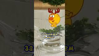 Отличный летний салатик от Лосяша  #рецепты #еда #смешарики #Лосяш