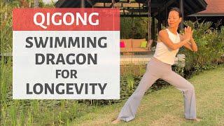 SWIMMING DRAGON FOR LONGEVITY | QIGONG