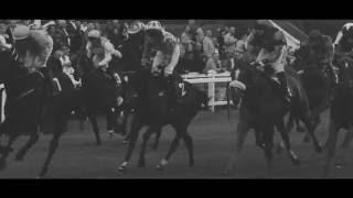 The thrill of horse racing at Great Yarmouth Racecourse