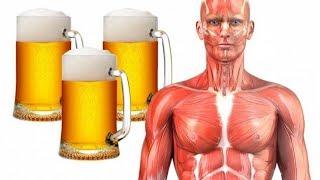 See What Happens To Your Body When You Drink A Pint Of Beer Everyday