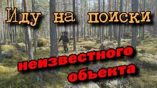 Ищу по навигатору неизвестный объект в лесу. Looking for an unknown object in the forest