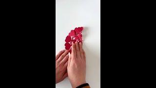 Draw three beautiful heart-shaped snowflakes with the word ”love” inside. It is easy to learn and s