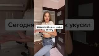 Любовник укусил за попу | Приколы от miapushka #shorts | TikTok | Тик ток