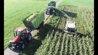 Maishäckseln mit LU Biggel, Krone Big X 1100 mit 12 Reihen Maisgebiss, Claas, Fendt Teil 6 2024 [4K]