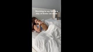 Stay at home cat mom morning!