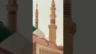 Ignored by PROPHET MUHAMMAD (PBUH) - Deen & Dunya - Sahih Bukhari