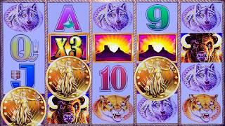 TRIPLE SUNSETS on SECOND SPIN!  MAX BET BUFFALO COINS