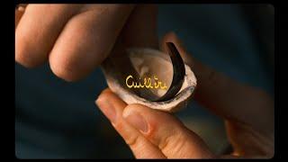 Cuillère // A small film about spoon carving