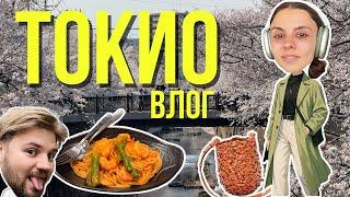 Наша жизнь в Японии // ВЛОГ 1