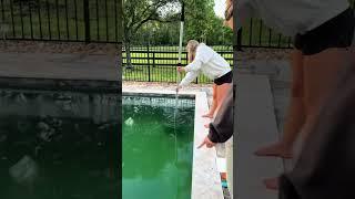 Pool Clean Out