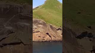 Iceland, Viking using life boats for excursions