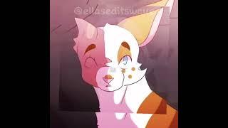 Swiftpaw and Brightheart edit|| #warriorcats #edit #wcuedit #wcue # warriors #warriorcats