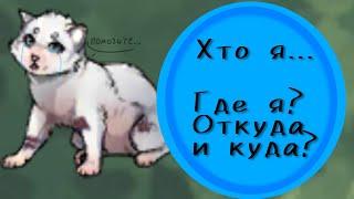 Что с персонажем? || Откуда и куда? || CatWar