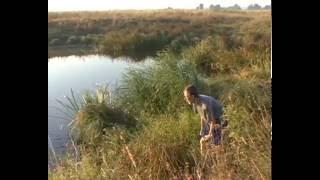 Интересные приманки Выпуск 1. "Водяной червь"