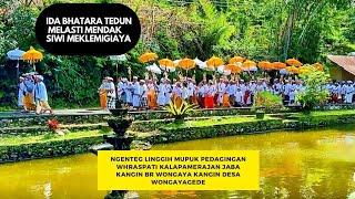 Melasti Mendak Siwi Meklemigi #bali #Budaya #Hundu