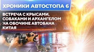 Хроники Автостопа 6. Крысы, собаки и Архангел на обочине автобана Китая