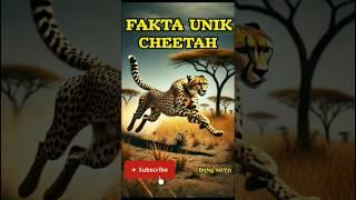 Fakta Menarik Cheetah, Sang Pelari Tercepat