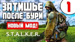 S.T.A.L.K.E.R. ЗАТИШЬЕ ПОСЛЕ БУРИ  НОВЫЙ СЮЖЕТНЫЙ МОД!  1 серия